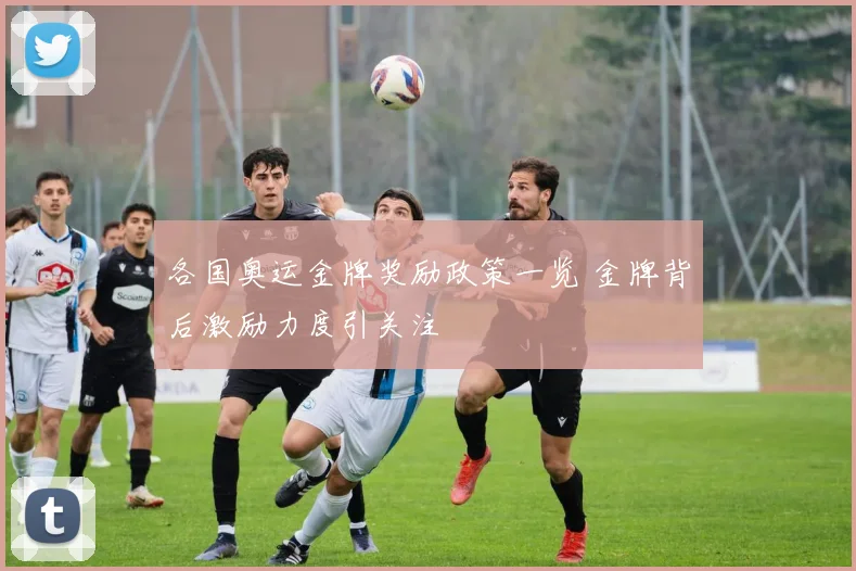 各国奥运金牌奖励政策一览 金牌背后激励力度引关注