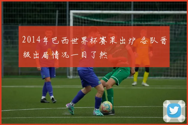 2014年巴西世界杯赛果出炉 各队晋级出局情况一目了然