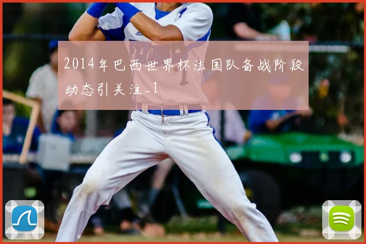 2014年巴西世界杯法国队备战阶段动态引关注_1