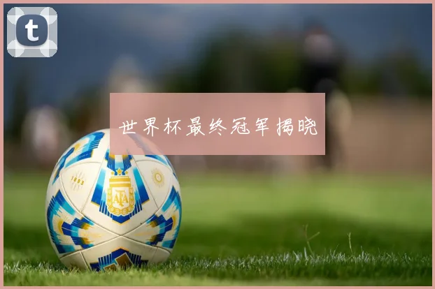 世界杯最终冠军揭晓