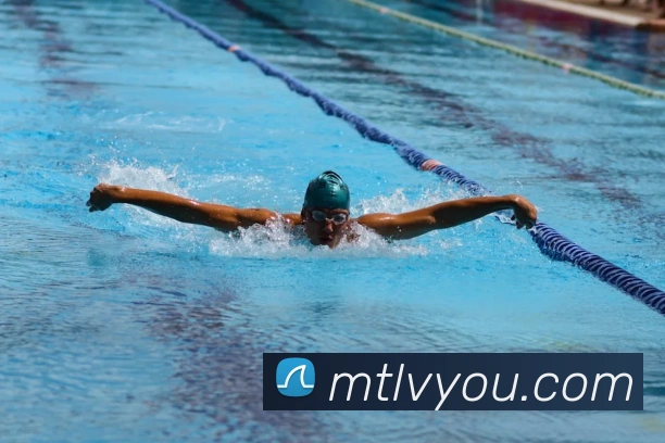 世界杯官网登录app平台生态图