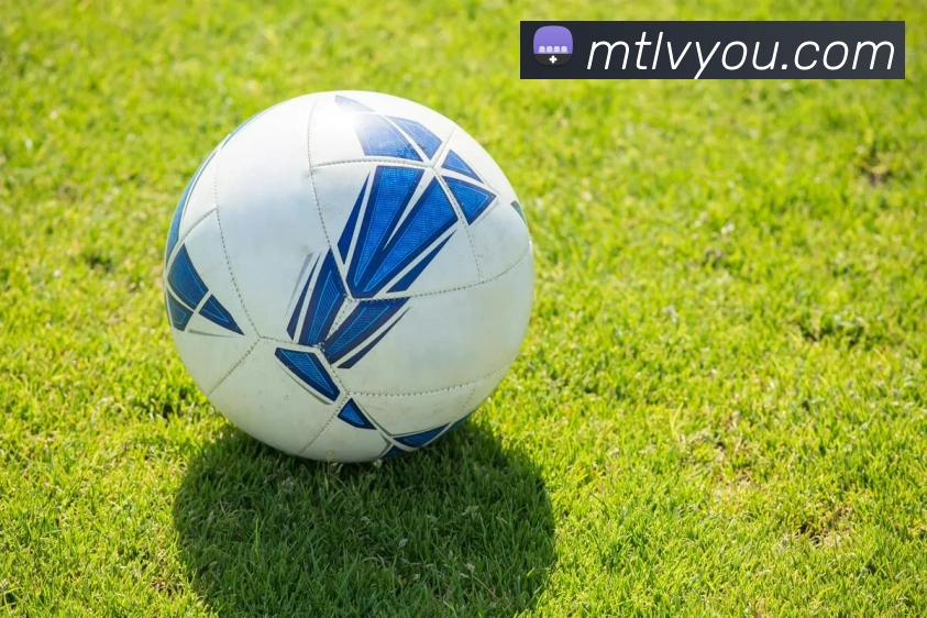 世界杯官网登录appAPP 封面图